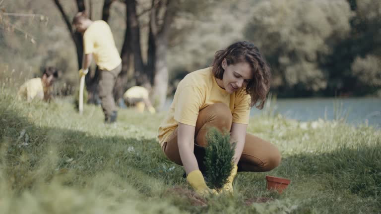 Best Lawn Maintenance Plans  in South Les, AK